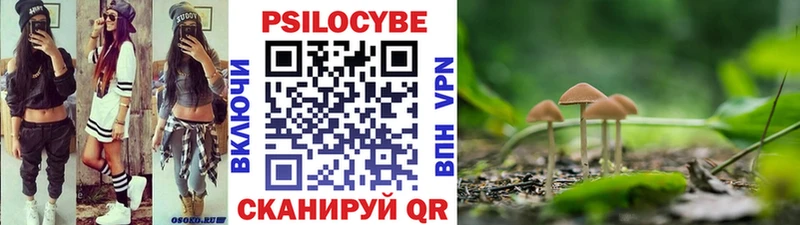 Псилоцибиновые грибы GOLDEN TEACHER  Купить  Кириллов 